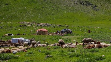 زمان کوچ عشایر کهگیلویه و بویراحمد مشخص شد