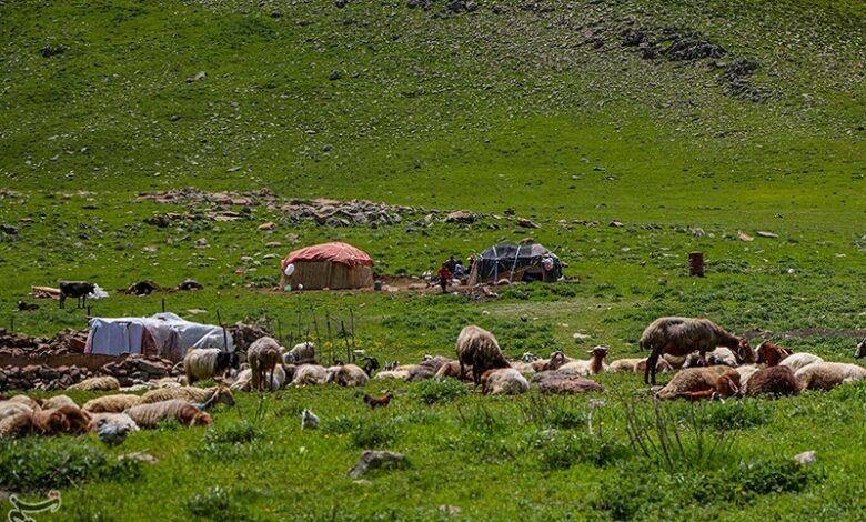 زمان کوچ عشایر کهگیلویه و بویراحمد مشخص شد