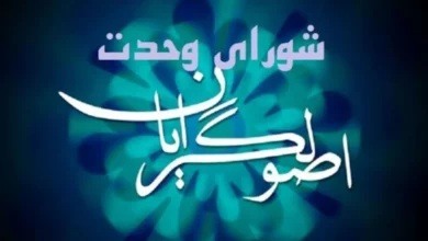 شورای وحدت در سه حوزه تصمیم‌سازی خواهد کرد