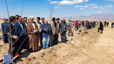 غرس 35 هزار نهال در کشت و صنعت بنیاد تعاون زندانیان کرمان + تصویر