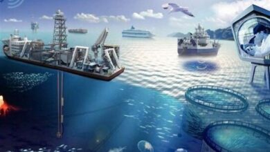 _قشم_ _ظرفیتی_ _ارزشمند_ _برای_ _توسعه_ _اقتصاد_ _دریامحور_