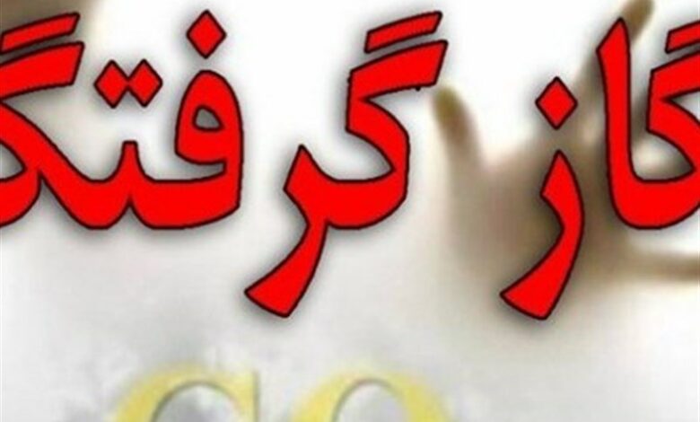 مرگ مادر و فرزند بر اثر گازگرفتگی‌ در دلفان