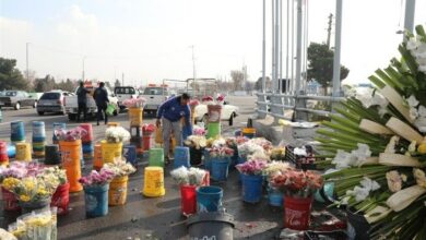 ممنوعیت حضور گلفروشان در جاده بهشت‌زهرا