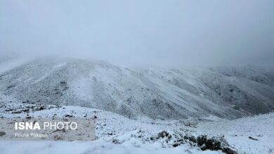 پهنه مناسبی از کشور پوشیده از برف است/ کاهش ۲۵ درصدی بارش‌ها نسبت به شرایط نرمال