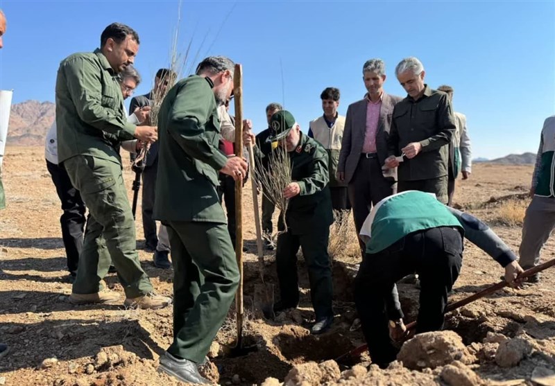 کاشت 200 هزار نهال در خراسان جنوبی به همت جهادگران + تصویر