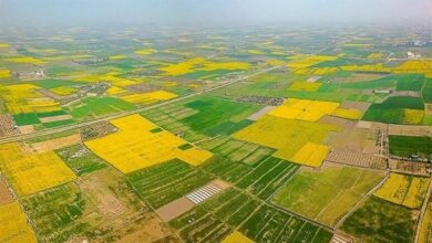 کمبود نیرو امکان حفاظت ‌از مراتع و جنگل‌ها را نمی‌دهد