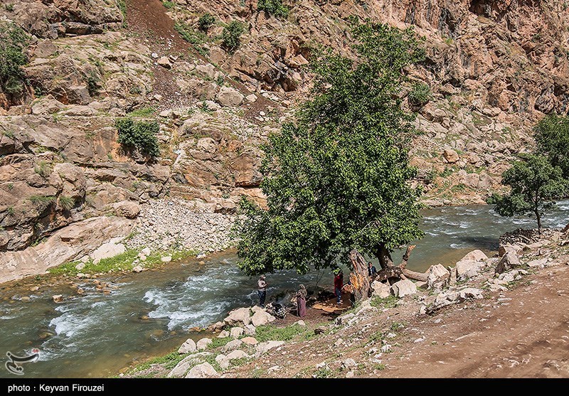 آخرین وضعیت ثبت جهانی «پالنگان» + فیلم و‌ تصاویر‌