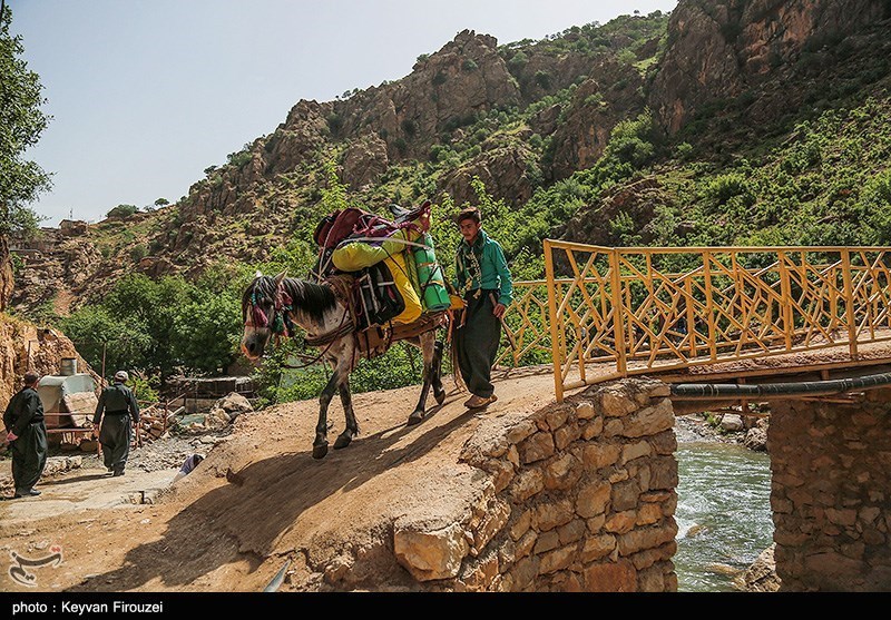 آخرین وضعیت ثبت جهانی «پالنگان» + فیلم و‌ تصاویر‌