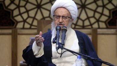 آیت‌الله مکارم‌شیرازی: پلیس طرح نور را با قدرت ادامه دهد