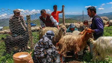 اردبیل فردا میزبان دومین جشنواره بین‌المللی عشایر است