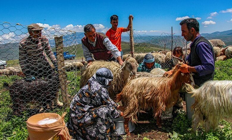 اردبیل فردا میزبان دومین جشنواره بین‌المللی عشایر است