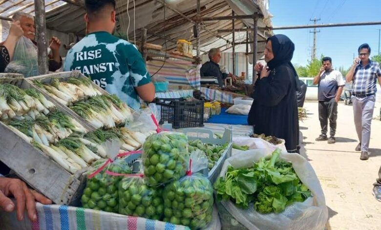 بازار داغ گیاهان دارویی در کرمانشاه+ تصویر