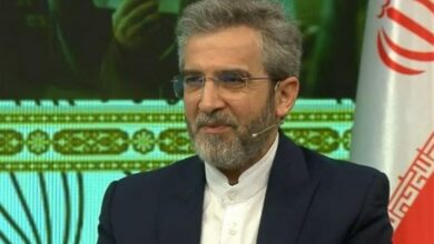 باقری: انتظار حل موضوع فلسطین حین اشغالگری واقع‌بینانه نیست