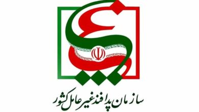 تاکید پدافند غیر عامل بر ضرورت ارتقای امنیت پیام‌رسان‌های داخلی