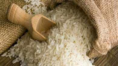 _دولت_ _از_ _بخش_ _خصوصی_ _حمایت_ _کند_/ _تعویق_ _۸_ _ماهه_ _مطالبات_ _واردکنندگان_ _برنج_