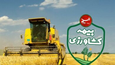 عضویت بیش از 156 هزار نفر در صندوق بیمه کارورزی استان مرکزی