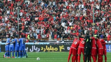 _فروش_ _سرخابی_‌_ها_؛ _خصوصی_‌_سازی_ _یا_ _رفع_ _تکلیف_؟
