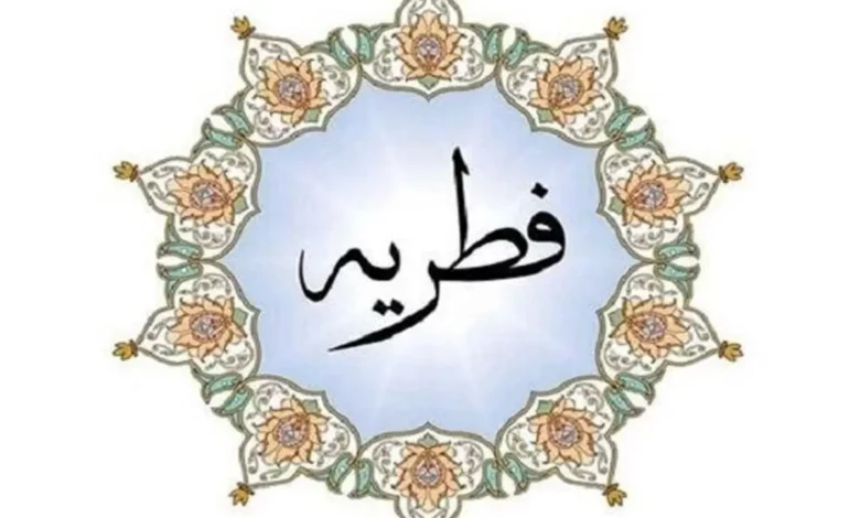 نظر مراجع تقلید درباره مبلغ فطریه رمضان ۱۴۰۳