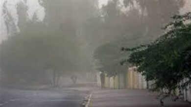 _وزش_ _باد_ _شدید_ _کاشان_ _را_ _درمی_‌_نوردد_