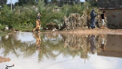 وقوع سیلاب در کرمان خسارت جانی نداشت