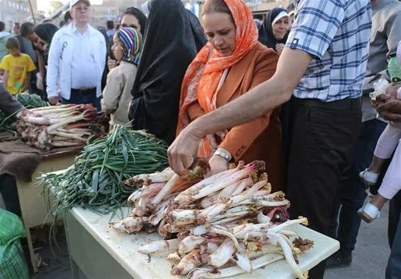 چهارمین جشنواره ریواس در ریوش برگزار شد