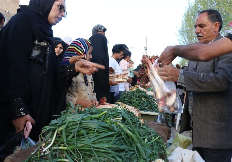 چهارمین جشنواره ریواس در ریوش برگزار شد