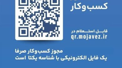 کدام استان‌ها و دستگاه‌ها در تبدیل مجوزهای کاغذی صدرنشین هستند؟