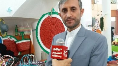 60 درصد پرورش میگوی استان بوشهر در قالب تعاونی صورت می‌گیرد