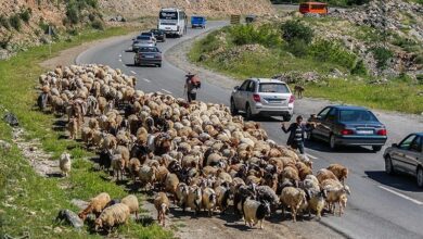 آئین سنتی زیبای «کوچ» در آستانه نابودی + تصاویر