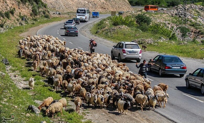 آئین سنتی زیبای «کوچ» در آستانه نابودی + تصاویر