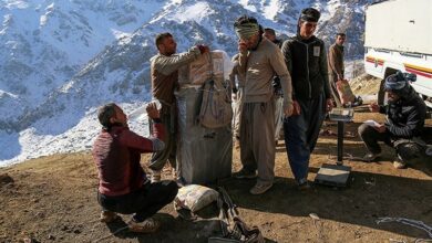 احکام مالیاتی قانون ساماندهی کولبری و ملوانی ابلاغ شد