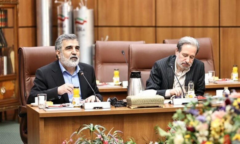 ایران برای همکاری‌ها در حوزه فناوری هسته‌ای اعلام آمادگی کرد