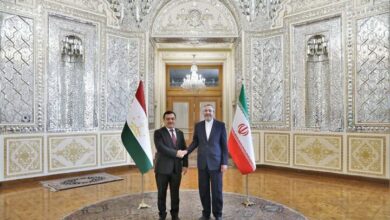 ایران و تاجیکستان باید از ظرفیت‌های سازمان‌های منطقه‌ای بهره برند