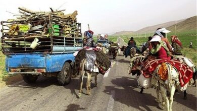 باران یک‌هزار کیلومتر راه عشایری ایلام را تخریب کرد