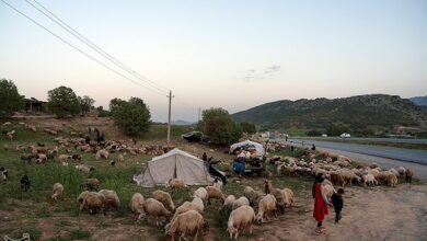 بوم‌گردی عشایری در لرستان راه‌اندازی می‌شود