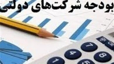 تزریق36همت‌ اعتبارشرکتهای دولتی در امورفرهنگی برای اولین بار