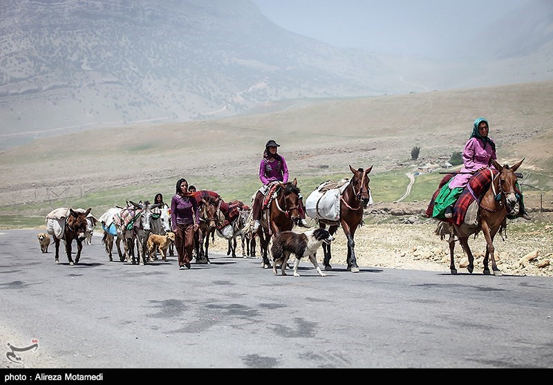 تصاویری زیبا از شروع کوچ بهاره عشایر به چهارمحال و بختیاری