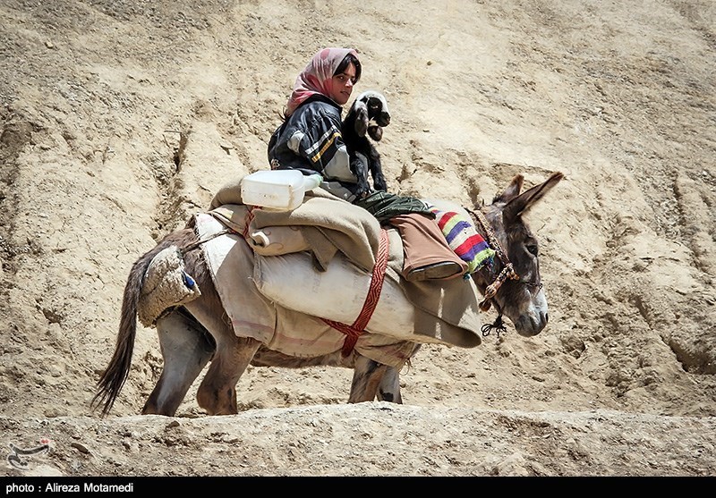 تصاویری زیبا از شروع کوچ بهاره عشایر به چهارمحال و بختیاری