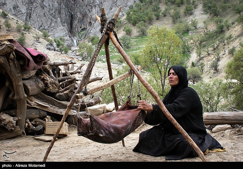 تصاویری زیبا از شروع کوچ بهاره عشایر به چهارمحال و بختیاری