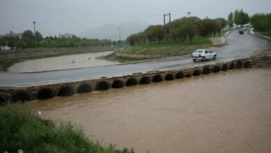 ثبت 108 میلی‌‌متر بارش باران در رومشکان