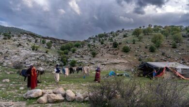 ساخت ایلراه هوفل پلنگی نیازمند 30 کیلومتر مسیرگشایی است