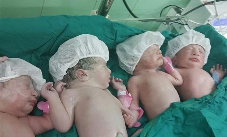 نخستین چهارقلوهای کاشان در سال 1403 ‌به دنیا آمدند