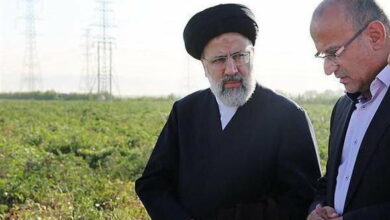 _کشاورزی_ _ایران_ _در_ _دولت_ _شهید_ _رئیسی_ _پیشرو_ _بود_