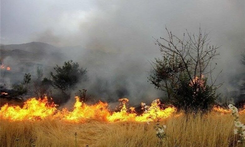 آتش‌سوزی در بلبزان پاوه مهار شد