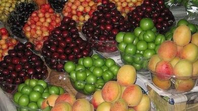 _آشفته_‌_بازار_ _میوه_ _و_ _تره_‌_بار_ _شیراز_