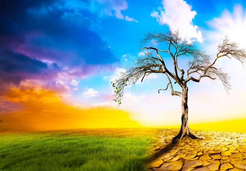 استان فارس منتظر دمای 50 درجه بالای صفر باشد