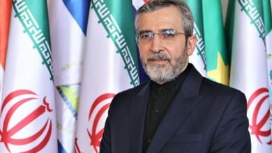 باقری: ایران بزرگترین قربانی سلاح شیمیایی در تاریخ معاصر است