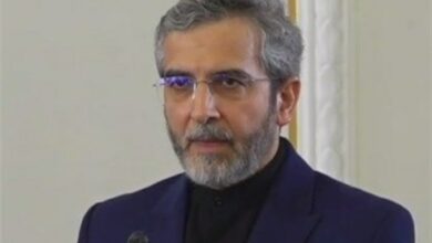 باقری : صهیونیست‌ها در باتلاق جنایاتشان غرق خواهند شد