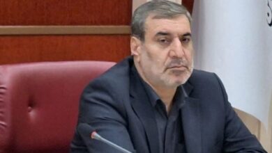 تشکل‌های مردم‌نهاد ‌شرکت پیمانکاری نیستند