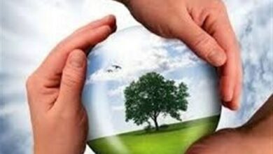 دولت سیزدهم به تعهدات خود در حوزه زیست محیطی عمل کرده است